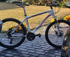 Old Giant Revel  For Parts Or Cheap  Runaround
