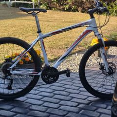 Old Giant Revel  For Parts Or Cheap  Runaround