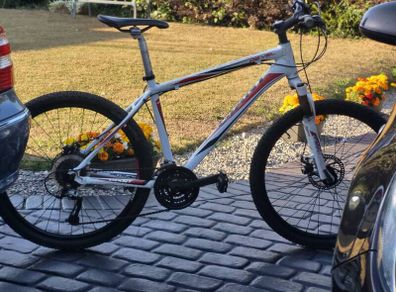 Old Giant Revel  For Parts Or Cheap  Runaround