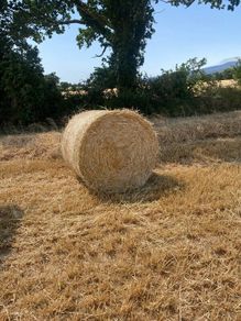 Straw