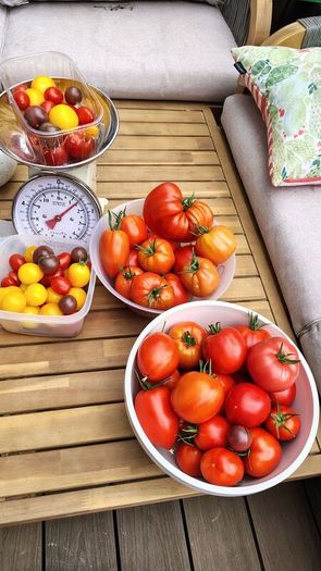 Tomato Plants, 2euro each