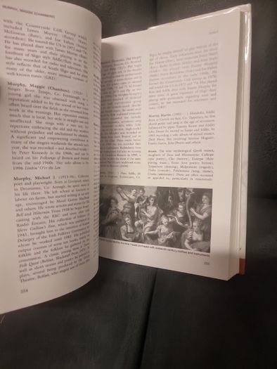 Companion to Irish Traditional Music (Hardback)