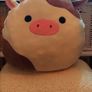 Squishmallow 16inch Ronnie the Cow. ( 40cm ) Image 2