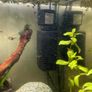 105L fish tank open to offers Image 4