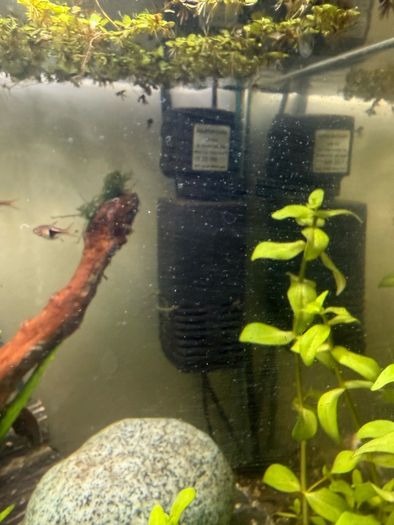 105L fish tank open to offers