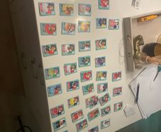 world cup stickers