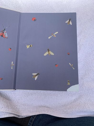 Naturama Irish kids nature book