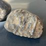 Collectable Fossil coral stones Image 5