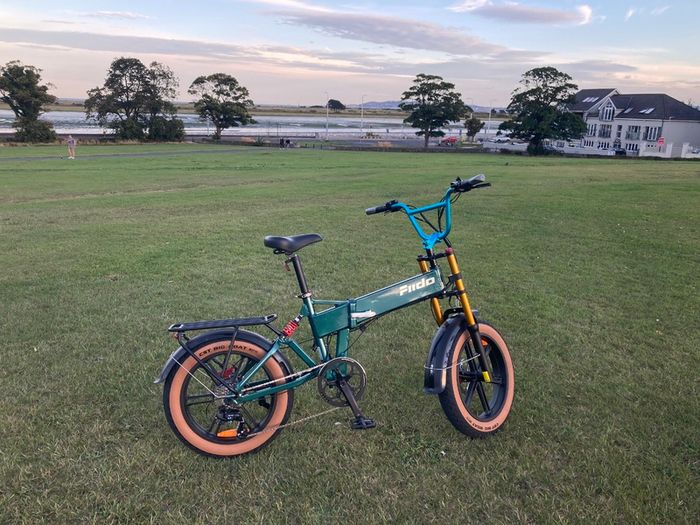 Brand New Fiido M1 Pro electric foldable bike