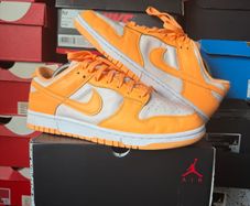 Nike Dunk Low Peach Cream DD1503-801