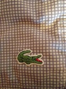 lacoste croos-over bag