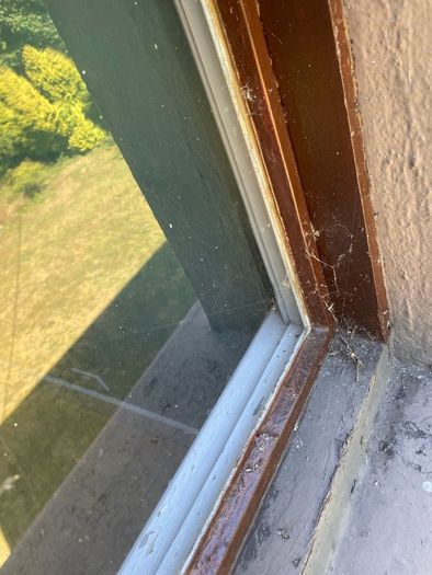 Steel window - crittal style