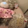 Mothers day large teddy Image 5