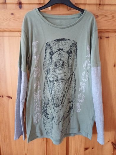 Age 10 Dinosaur Top