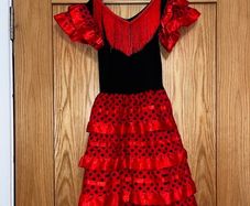 Spanish senorita flamingo dress