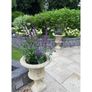 Heathfield Urn EG010 Image 3