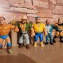 WWF Hasbro Image 4