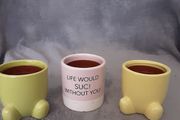 Miniature Plant Holders/Sure to Brighten up Any Room in the Home