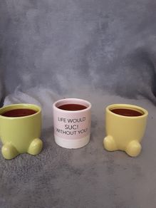 Miniature Plant Holders/Sure to Brighten up Any Room in the Home