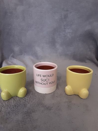 Miniature Plant Holders/Sure to Brighten up Any Room in the Home