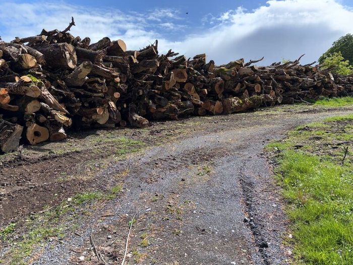 Timber