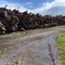 Timber Image 2