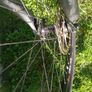 Trek  Mtb Image 4