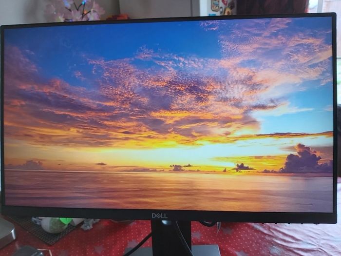 HP 22" Monitor