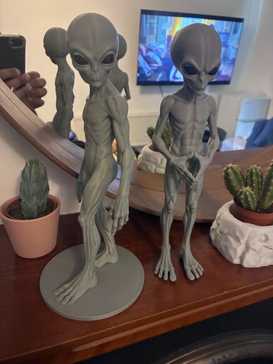 Twin Aliens 3D printer