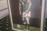 Johnny Sexton framed art by Nidge McMorrow