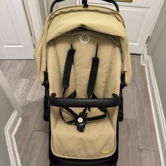 buggy Bugaboo Fox Cob