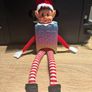 elf on the shelf needoh Image 2