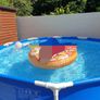 Intex Swimming Pool Image 3