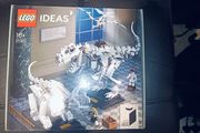 Lego Ideas Dinosaur Fossils 21320