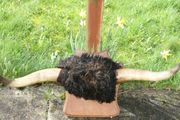 Antique Taxidermy Buffalo Horns (40")