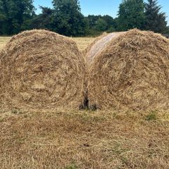 Wrapped Hay Bales
