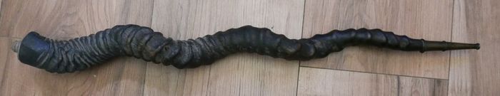 Antique 1800s rare Kudu  Horn length 23"