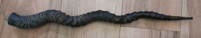 Antique 1800s rare Kudu  Horn length 23"