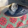 castle arch pottery bowl Image 2