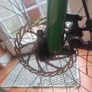 bike Image 4