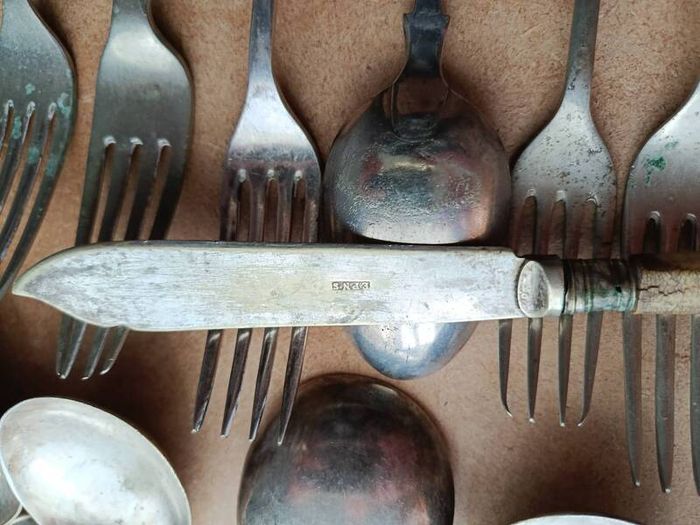 Vintage Silver Plated Cutlery Set EPNS Grand Hotel Spoons Included