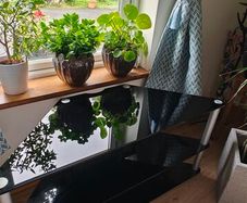 corner stand