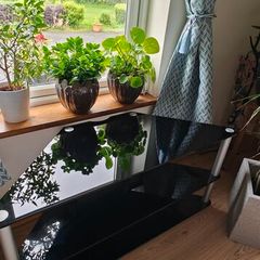 corner stand