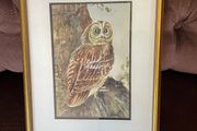 Vintage Original Owl Watercolour Professionally Framed 1970s
