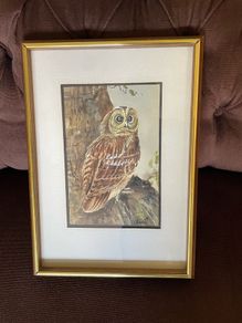 Vintage Original Owl Watercolour Professionally Framed 1970s