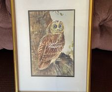 Vintage Original Owl Watercolour Professionally Framed 1970s