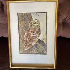 Vintage Original Owl Watercolour Professionally Framed 1970s