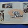 Australia - The Commonwealth Series - 1958-  - Australia In Forty-eight Full Natural Cards (lyons Tea) Image 9