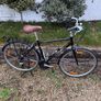 Trek Allant Trekking Bike Image 2