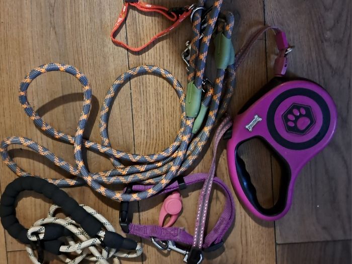Sold as one lot Dog coats, Leeds, harnesses, dog carry bag, dog boots, 2 new lick matts other bits new stuff also